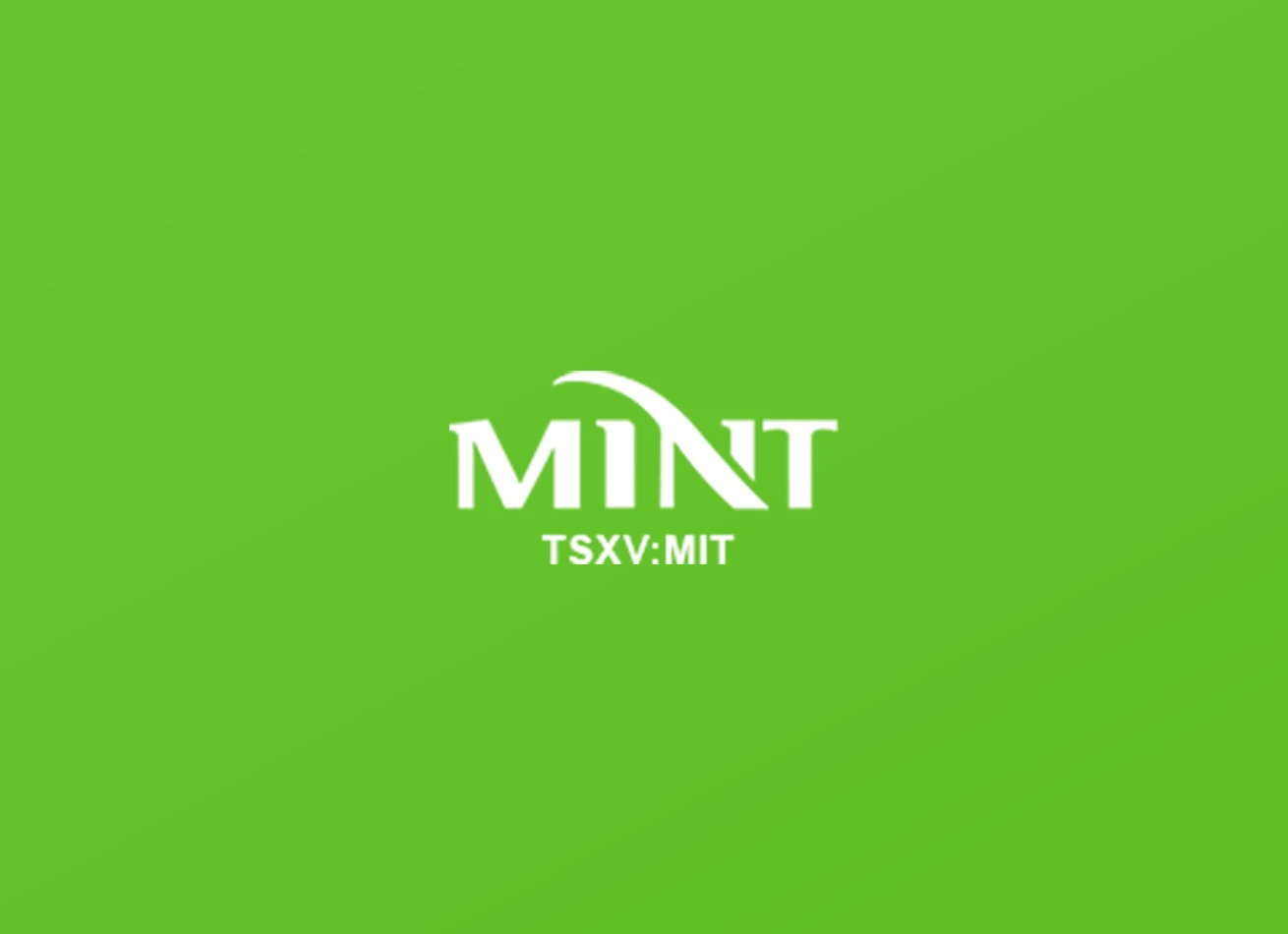 MINT Gateway logo