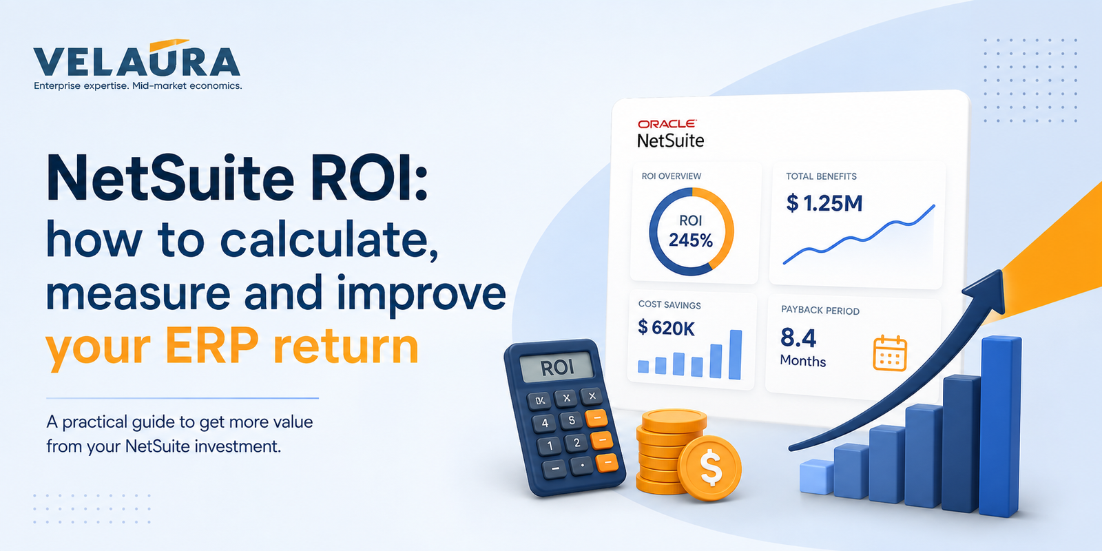 NetSuite ROI Velaura